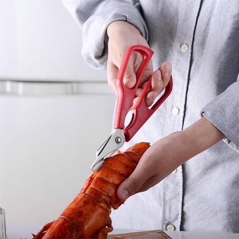 Ciseaux à fruits de mer en acier inoxydable, ciseaux à homard, pince à homard amovible, outil de cuisine (1/5)