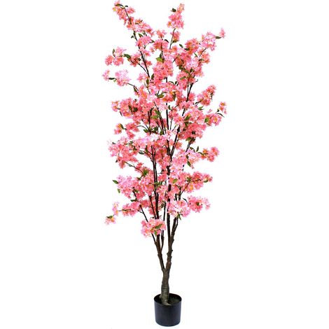 ARBOL ALMENDRO
