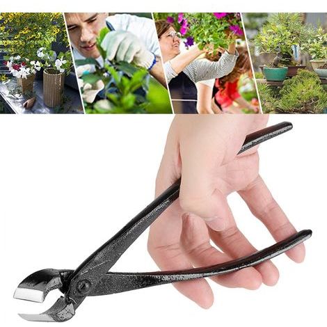 Sécateur de Jardin Professionnel 205mm pour Bonsaï, Tranchant en Alliage de Zinc (1/5)