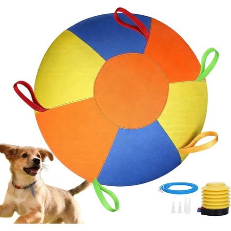 Balle de berger de 25 cm pour chiens - Balle gonflable résistante aux déchirures - Balle de jeu pour chiens (1/5)