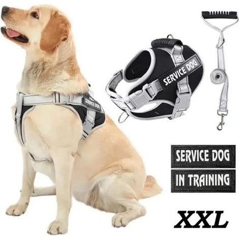 Harnais Chien XXL,Réfléchissant Harnais Anti Traction avec Laisse pour Chien et Poignée Rembourrée, pour Moyen Grand Chien, Noir (1/4)