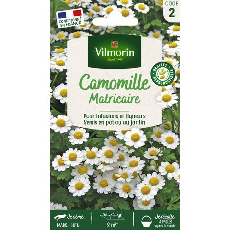 Vilmorin – Camomille ordinaire – Graines de fleurs – Période de semis : printemps – Exposition : ensoleillée – Couleur de fleur : blanche (1/2)