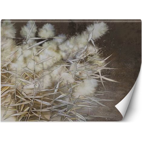 Papier peint Herbe de la pampa Boho 368x254 (1/5)