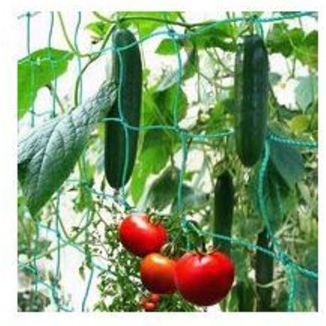 Filet à Ramer avec Maillage Large pour Une récolte particulière Bonne de concombres, tomates et Autres légumes et Plantes grimpantes – Dimensions : 1.82.7m (1/4)