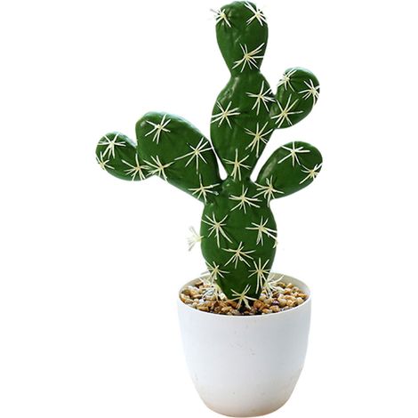 Cactus Artificiel - Plante en Pot Simulée Tropical - Décoration Intérieure Extérieure Résistante aux Intempéries - 1 Pièce (1/5)