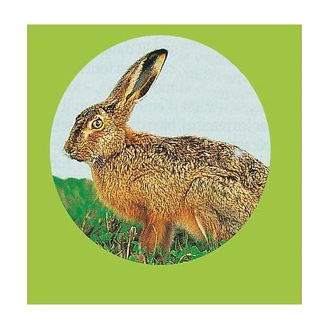 FOURRAGE POUR LAPINS - 1 KG - Graines