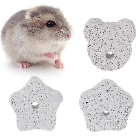 Tapis de griffes en lave naturelle pour lapin, jouet à mâcher pour hamster, rat, gerbille, chinchilla, hérisson - Style 3 (1/4)