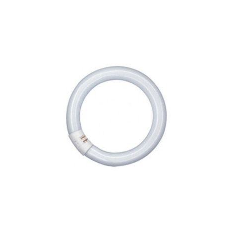 Osram – Tube fluorescent circulaire T9 18W – Économie d'énergie – Lumière uniforme – Ballast électronique pour installation rapide
