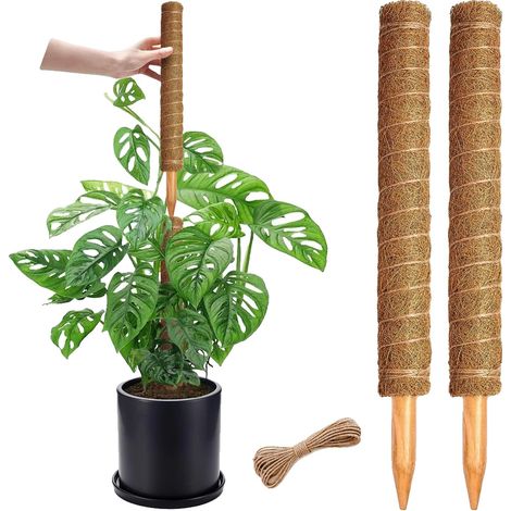 Palo di supporto per piante, materiale ecologico, design estensibile, 2 pezzi, M 43cm-a (1/2)
