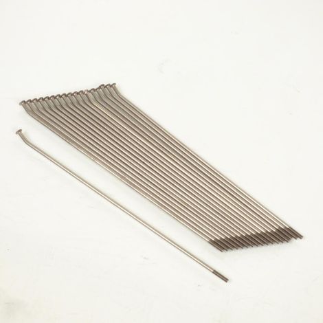 Rayon de jante origine pour Moto Aprilia 650 Pegaso 2005 à 2007 (1/5)