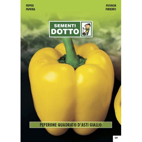 EXTRAPEPERONE QUADRATO GIALLO