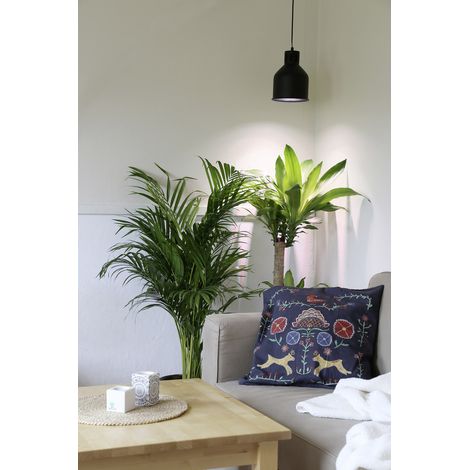 Venso E27 SAGA Lampenschirm Schwarz LED Pflanzenlampe (1/2)
