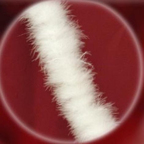 Ghirlanda boa di piume bianco addobbi decorazioni natalizie per albero di natale set di 3 fili cm 180 molto bello (1/4)