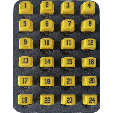 Remote Identifier 226581 Softing PDRK224 Netzwerk