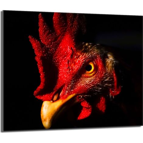 Placa protectora de vidrio para la estufa 60x52 Gallo (1/5)