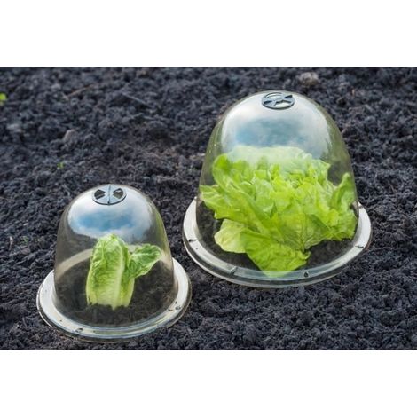 Lot de 3 cloches pour plants diam. 25 cm avec système de ventilation et ancrage- (1/3)