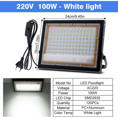 LED Außenprojektor 100 W, wasserdicht IP65, 220 V AC / 12 V DC, weißes Projektionslicht, europäischer Stecker