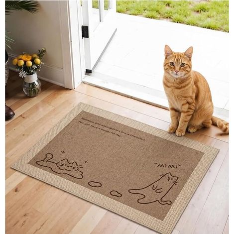 Paillasson Tapis Interieur Exterieur Entree Antidérapant d'entrée 50×80CM (1/5)