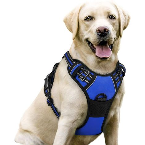 Harnais Chien - Gilet pour chien- Bleu taille M -- Anti Traction Réglable Réfléchissant Matériau Respirant