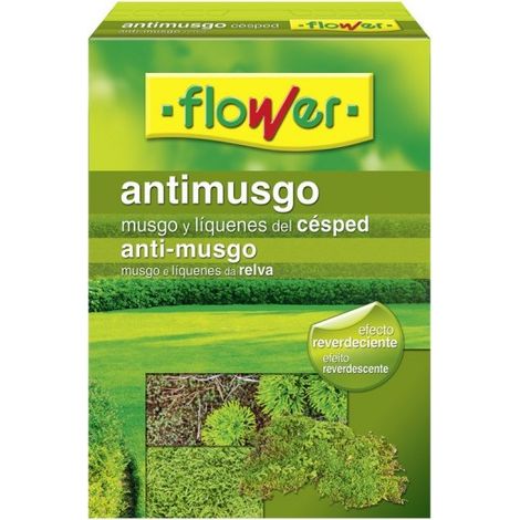5 kg Anti -Imaging -Blume