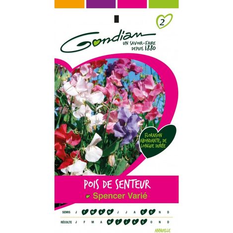 Gondian - Pois de senteur Spencer varié (1/3)