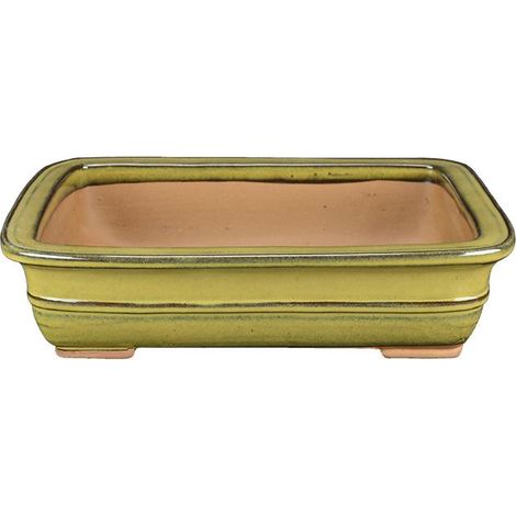 Vaso per bonsai rettangolare in gres smaltato giallo-senape verde 22,5x16x6 cm - J037d