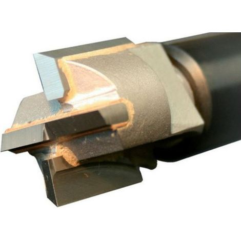 Fresa de metal duro Ø20 mm para DPM100/50 VIRUTEX - 4437120 (1/2)