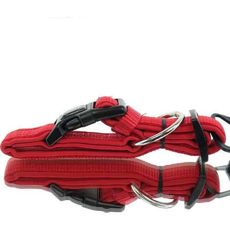 Nobby® Hunde Halsband Classic Preno Rot Größe XS (1/3)