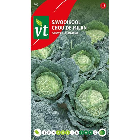 Chou De Milan Capriccio F1 Hybride - Ca. 0,3 gr (Livraison (1/2)