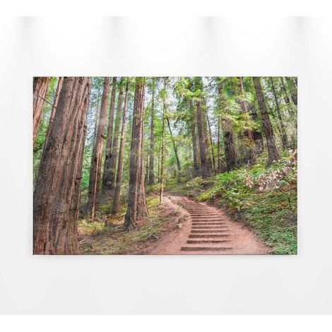 Tableau paysage chemin dans la forêt | Tableau sur toile paysage marron & vert pour déco salon | Tableau automne pour couloir - 0,9 x 0,6 m (1/5)
