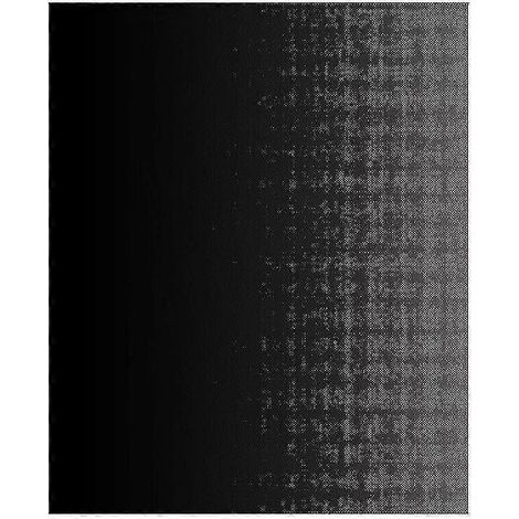 Tapis de cuisson antiadhésif pour barbecue, tapis de cuisson portable, ustensiles de barbecue, plaque de cuisson résistante à la chaleur (1/5)