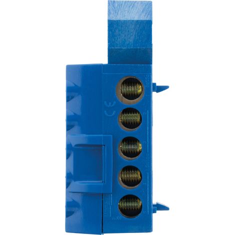 Thomson – Bornier neutre bleu 6 connexions – Intensité 100A – Arrivée 25 mm² – Détail connexions 5x 2,5-16mm² et 1x 10-25mm²