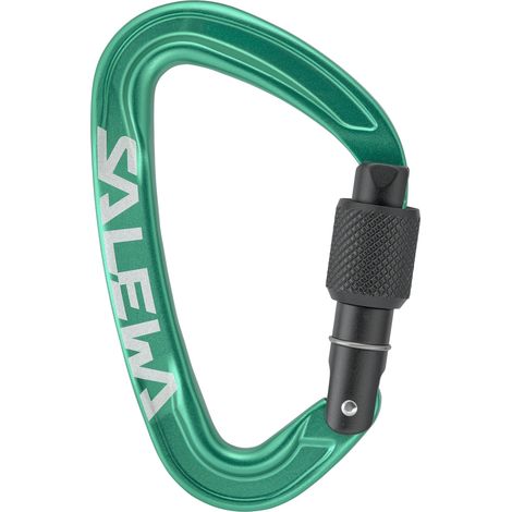 Moschettone unisex Salewa Ortles a vite verde 00-00000720055210 (1/4)