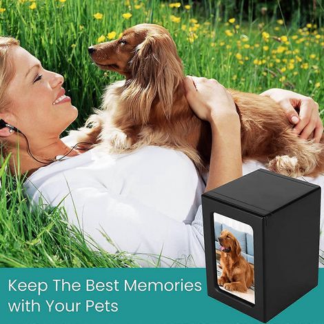 Urne funéraire en bois pour animaux de compagnie avec cadre photo, boîte commémorative avec cadre photo, pour chats (1/4)