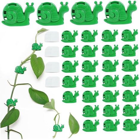 Clip per piante a forma di lumaca - Supporti per piante rampicanti - Organizza le piante - Design autoadesivo - Lunghezza 3,5 cm - Verde (1/5)