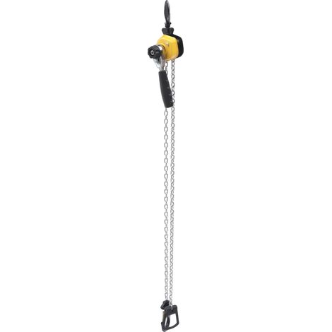 Palans à chaîne mini, capacité de charge de 250 kg, longueur de chaîne de 3 m, matériau en acier galvanisé, freins à double cliquet, comprend un sac de transport (1/5)