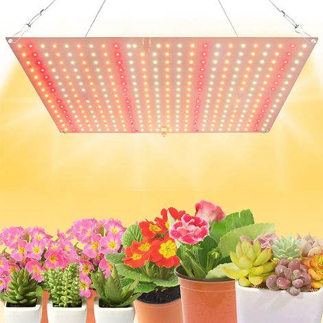 Lampe horticole à 360 LED, spectre complet, 2 modes d'éclairage, lampe de croissance pour plantes d'intérieur (1/5)