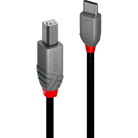 Lindy 36941 cable USB USB 2.0 1 m USB C USB B Negro