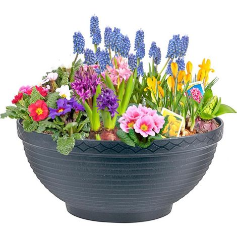 10x Pflanzen Schale Übertopf Blumenkübel Kräutergefäß Garten Dekoration