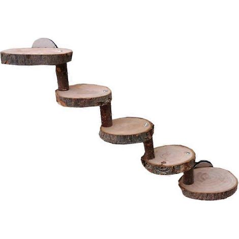 Jouets d'escalade chics pour hamsters, plateforme pour gerbilles, maisonnette pour furets (1/5)