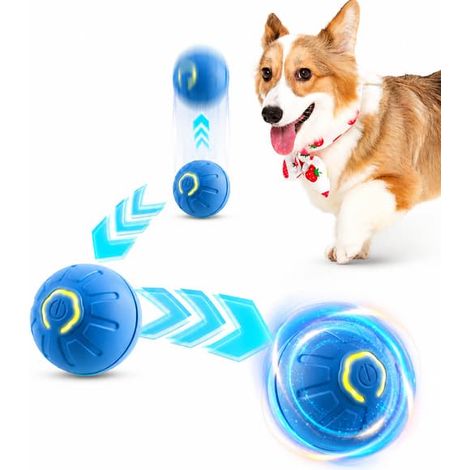 Balle interactive pour chats et petits chiens Bleue (1/5)