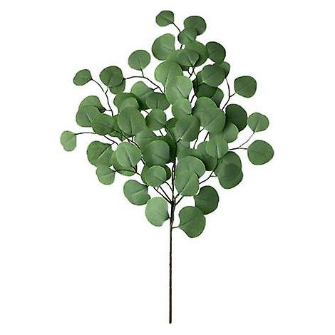 Plante artificielle attrayante, eucalyptus artificiel vert réaliste et frais, universel, pour bureauE (1/5)