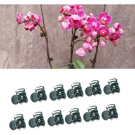 100 mini-tiges en plastique pour la culture verticale des orchidées, outils de jardinage (1/5)
