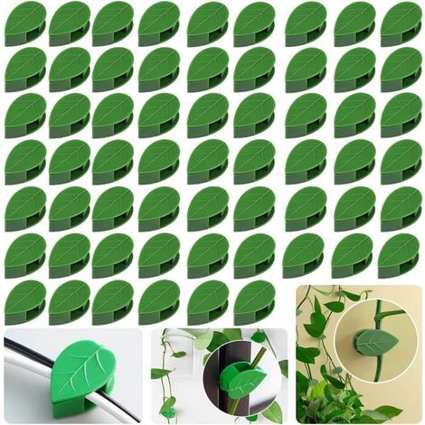 Lot de 40 Attaches Plantes Grimpantes Réglables Universelles - Support Jardin Intérieur/Extérieur pour Vignes Légumes Murs Bureau (1/5)