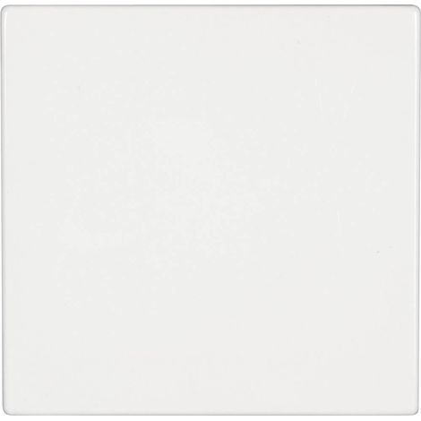 Jung – Interrupteur va-et-vient blanc-alpin – Interrupteur/inverseur pour installation murale – Matériau plastique – Série LS 990 (1/4)