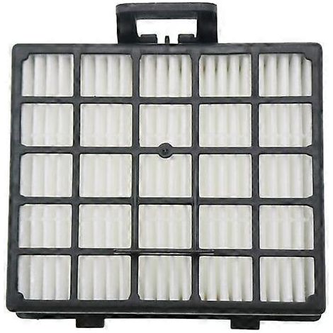 Filtre HEPA pour aspirateur Bosch Siemens série 426966 (1/2)
