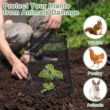 Cloche En Fil De Fer - 23 Cm De Diamètre - Protection Des Plantes Contre Les Animaux - Pour Fraises Et Semis - 1 Pièce (1/5)