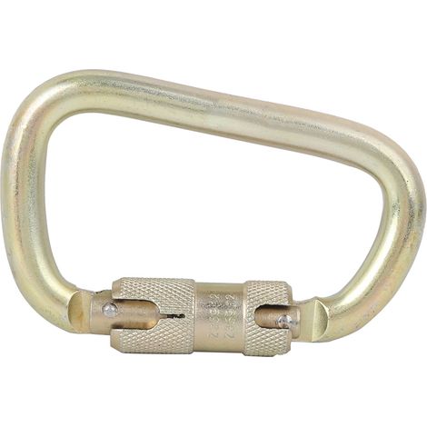Lot Haute Résistance Cadenas Principal Extérieur Verrouillage Automatique Mousqueton en D pour Escalade (Doré) (1/5)