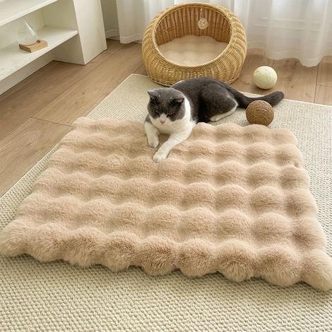 Tapis Chauffant Pour Animaux - Tapis Pour Chien Et Chat Sans Alimentation Électrique - 50 x 35 cm - Matière Polyester - Fond Antidérapant - Lavable (1/5)