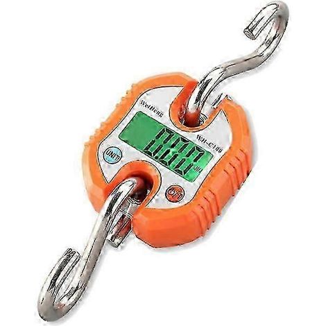 Wh-c100 Mini balance électronique numérique robuste à crochet en acier inoxydable, balance pour grue suspendue, écran LCD, double précision, 150 kg